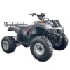 Quad akumulatorowy - HECHT 59299 HURON